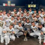 【野球】今年のセリーグの優勝は阪神タイガース、最下位は広島カープで間違いないよね？