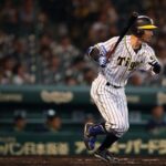 【野球】鳥谷敬が語る甲子園のラッキーゾーンの魅力とは！？