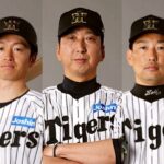 【野球】ホワイトソックスと阪神を交換すべき！？カブス、ドジャース撃破で米記者が大絶賛！