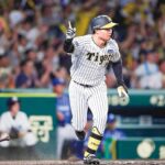 【野球】延長12回引き分け！阪神-DeNAの激闘を振り返る