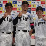 【野球】阪神タイガース、マジで強い件について！ファン大歓喜！